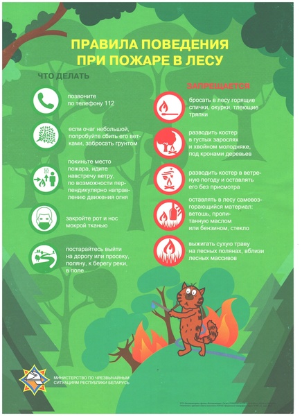 БЕЗОПАСНОСТЬ